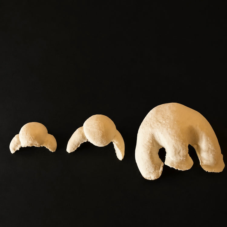 Foam Latex Noses/Sets