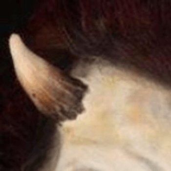 Horns | Medium Horns | Foam Latex Appliance
