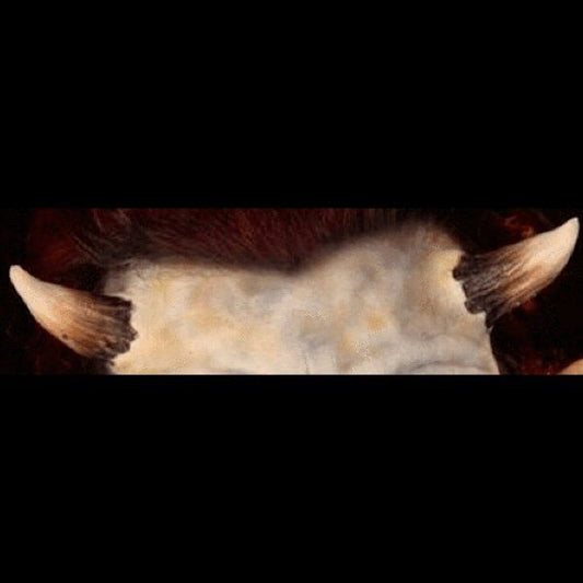 Medium Horns | Foam Latex Prosthetic Appliance